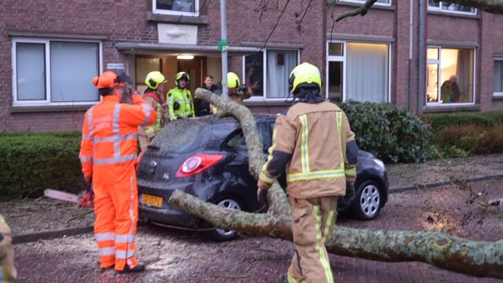 De boom kwam terecht op een geparkeerde auto (foto: Lucien de Vries).