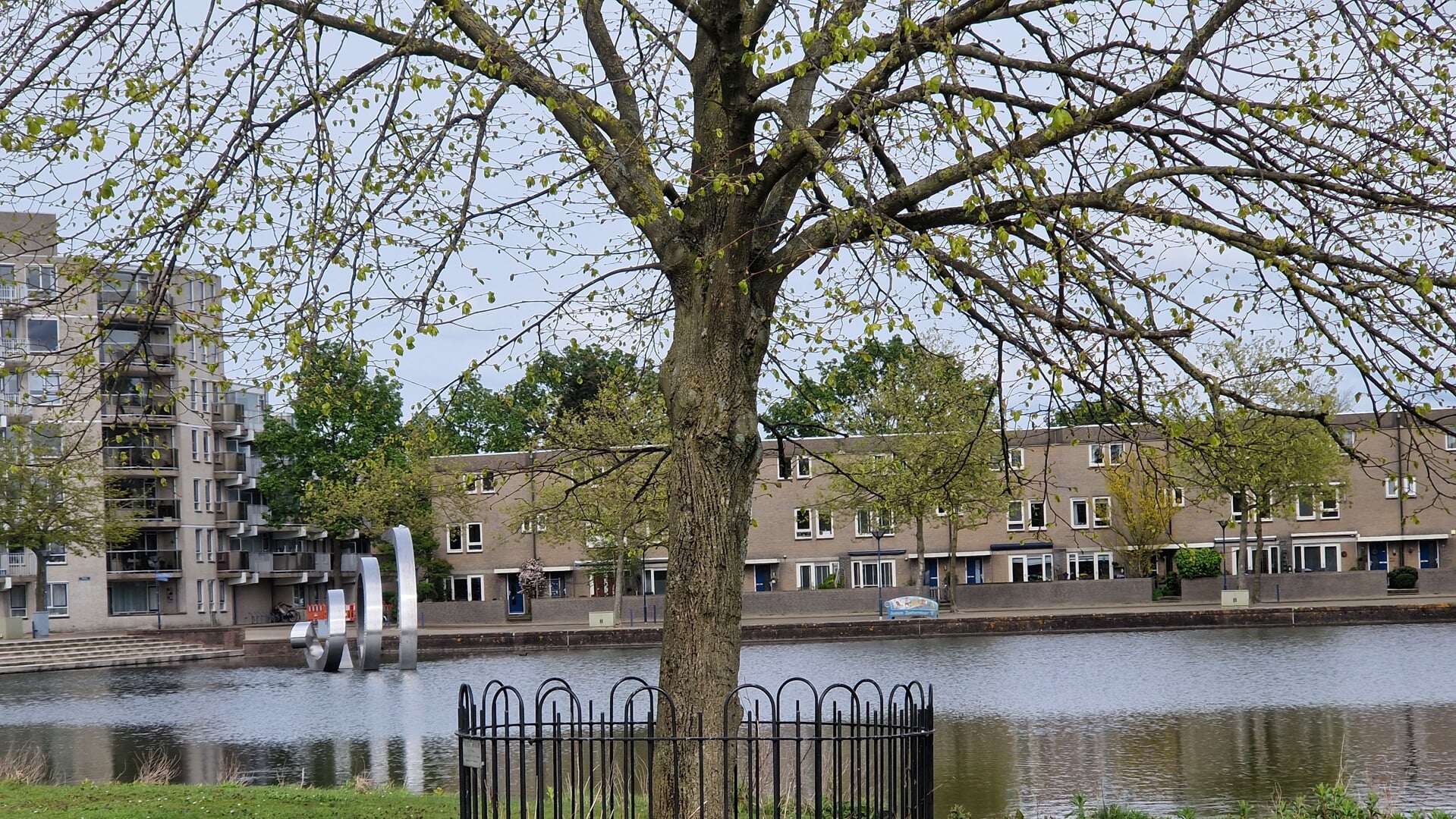 De Vredesboom aan de Dobbe.