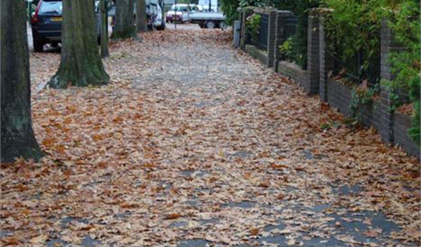 Ook op het Oosteinde liggen veel bladeren (foto: Ap de Heus)