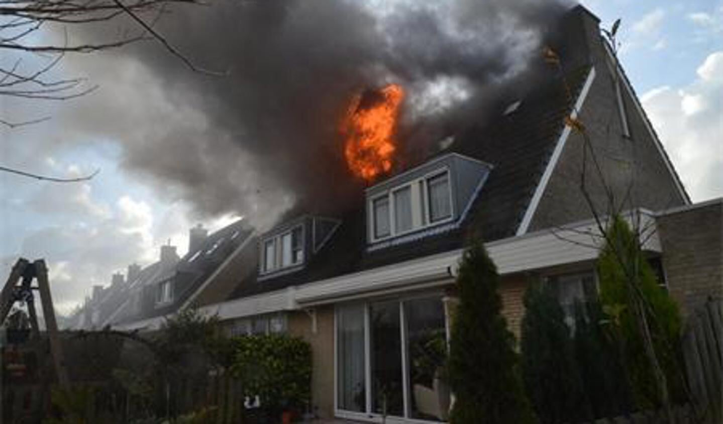 Foto: Hans Groenewegen