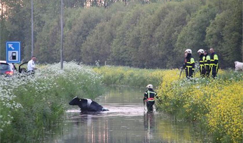 De brandweer raakt van de wal in de sloot. Foto: Jonathan de Bruin