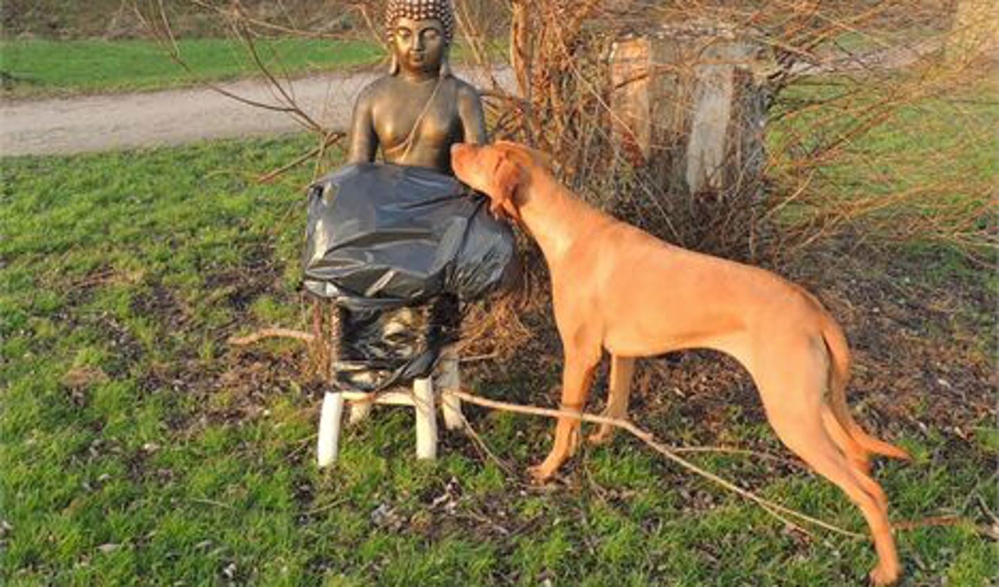 De bewuste Boeddha bij de Dobbeplas in Pijnacker-Nootdorp.