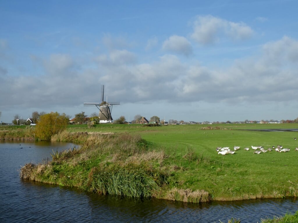 De molen is prachtig gelegen tussen Oude Leede en de Ackerdijkse PLassen, net op grondgebied van Lansingerland. 