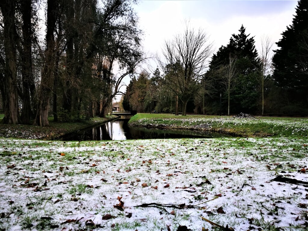 De eerste sneeuw is gevallen in Voorburg (foto: Marina Tiutneva).