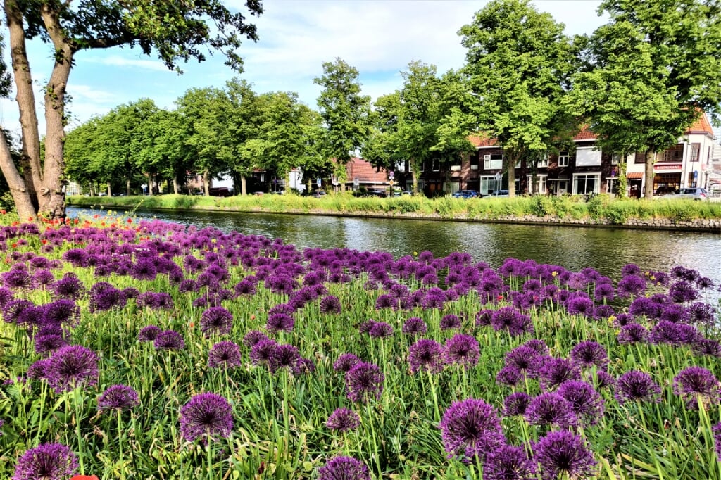 Hier een foto van de mooie beplanting aan de Vliet gezien vanaf Voorburg met de Leidschendamse Zeeheldenwijk aan de overkant (foto: Robin van Wissen).