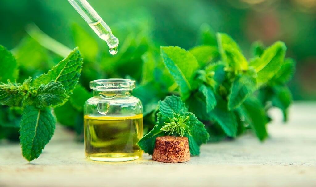 Bij homeopathie worden er verschillende soorten kruiden gebruikt om verschillende klachten op te lossen. 