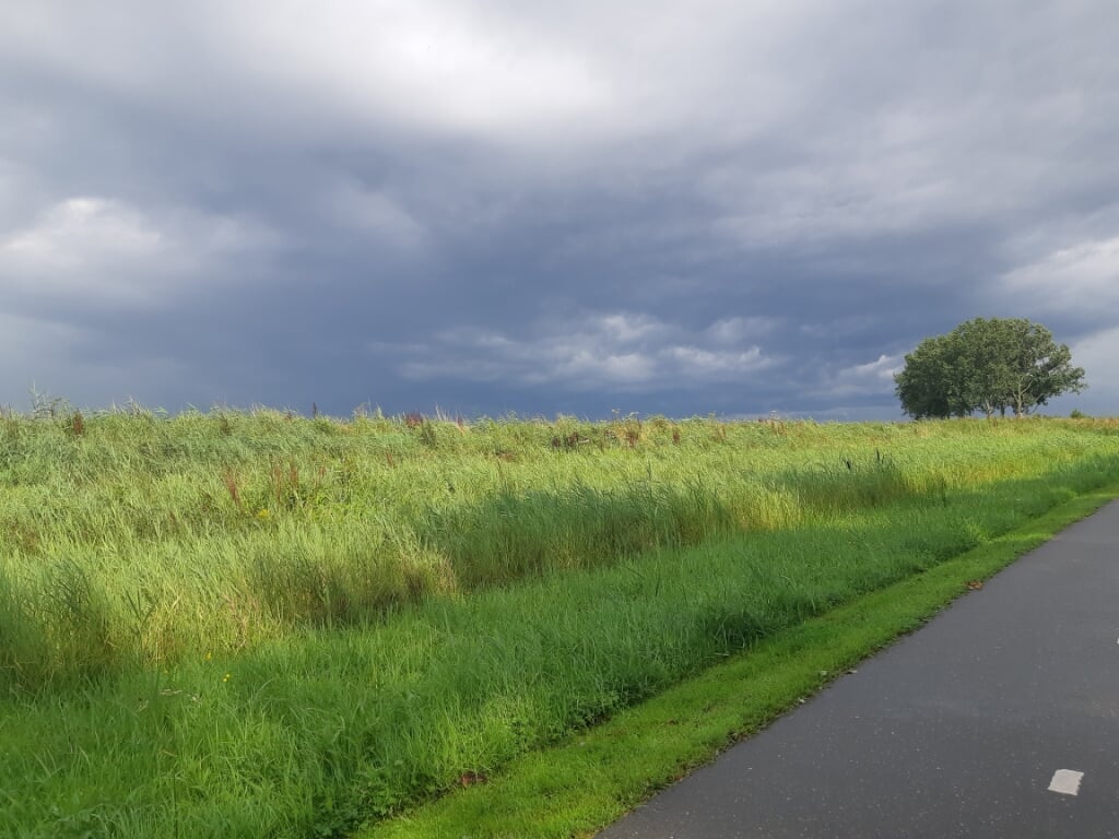 Een typerend beeld voor deze zomer: zon, dreigende luchten en regen. Foto: Irene Dompeling
