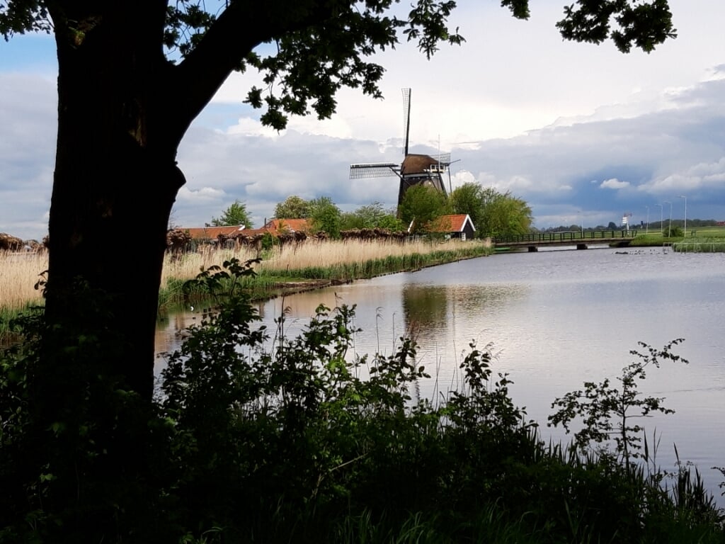 De mooie molen in de Ackerdijk. (Foto: Jenny Los)