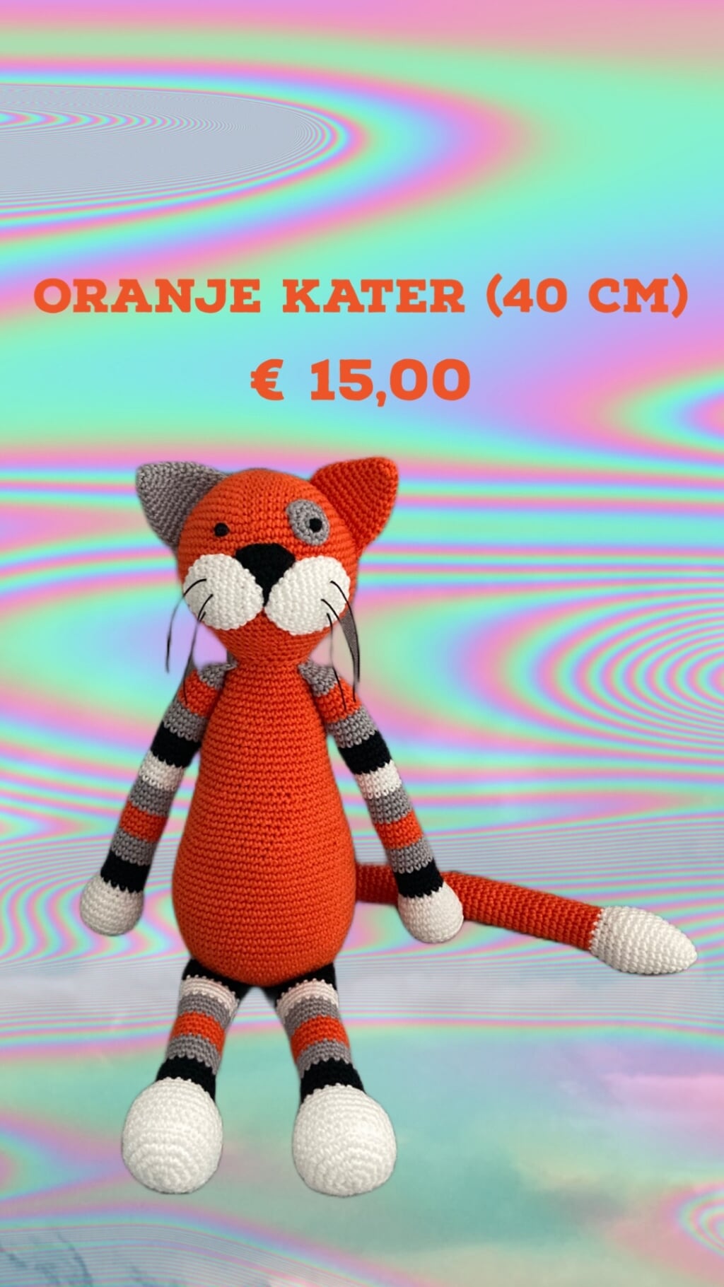 Oranje kater 40 cm