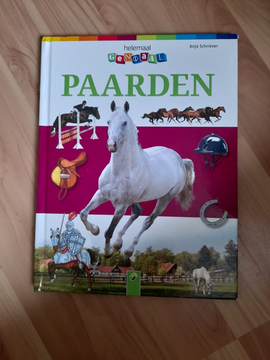 Helemaal geniaal: Paarden