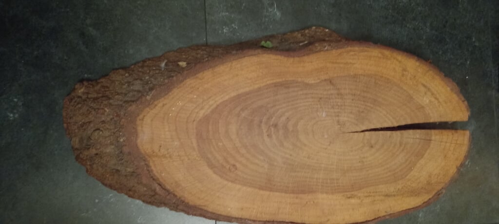 Mooie houten schijf