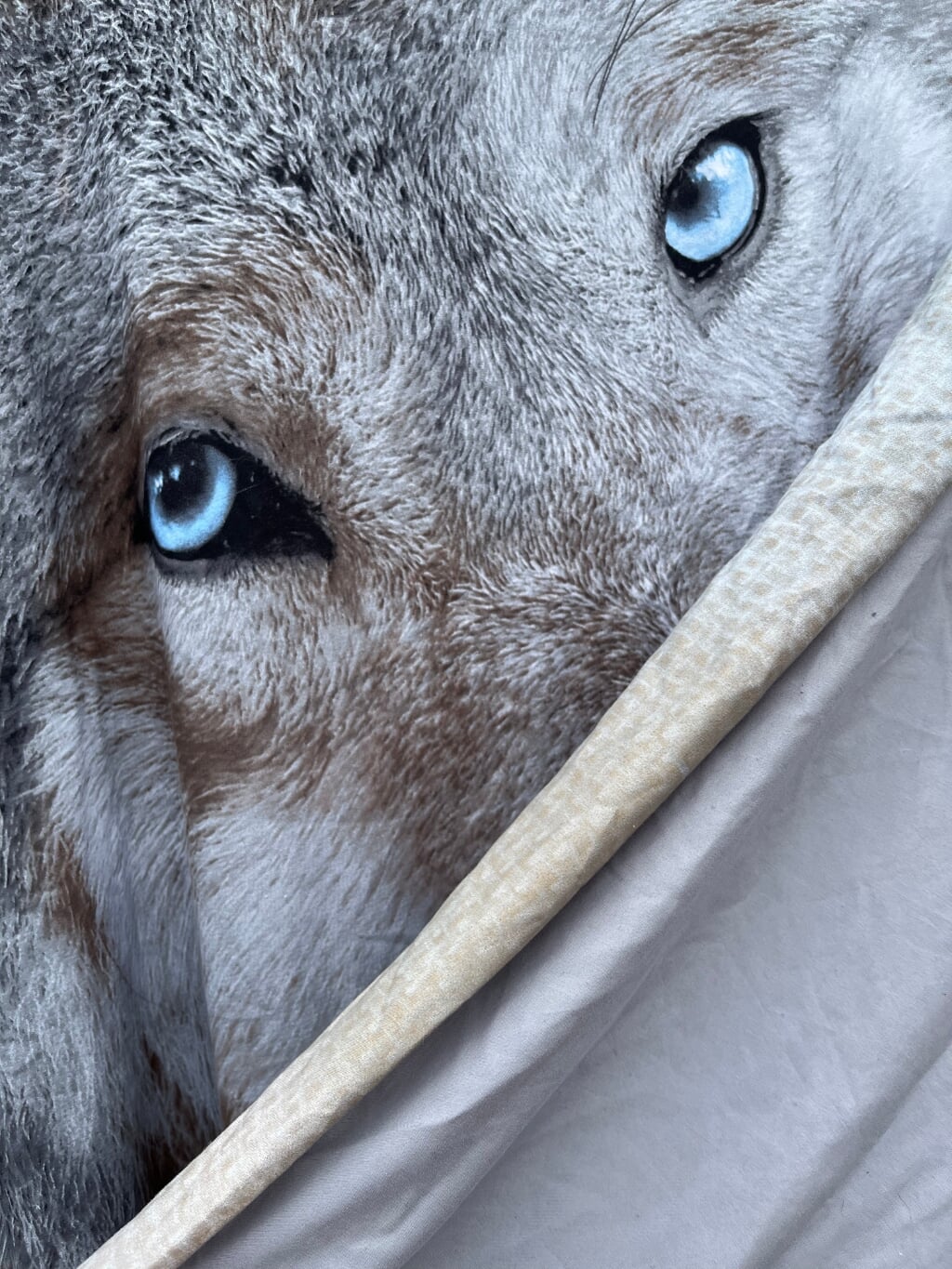 1-persooons dekbedovertrek met Wolf
