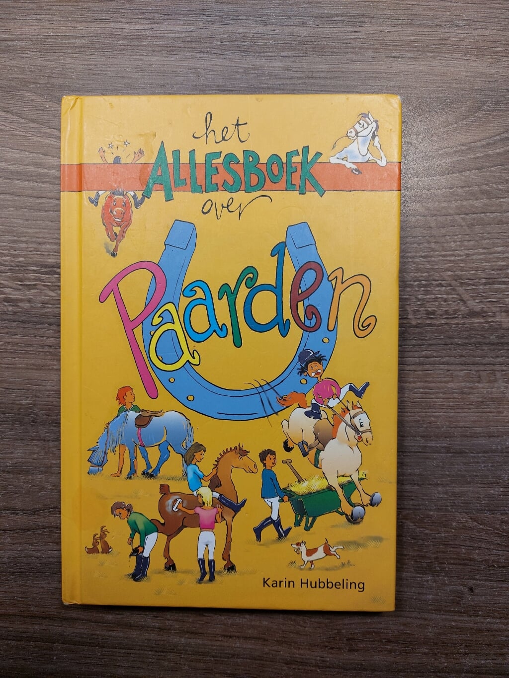 Het Allesboek Over Paarden
