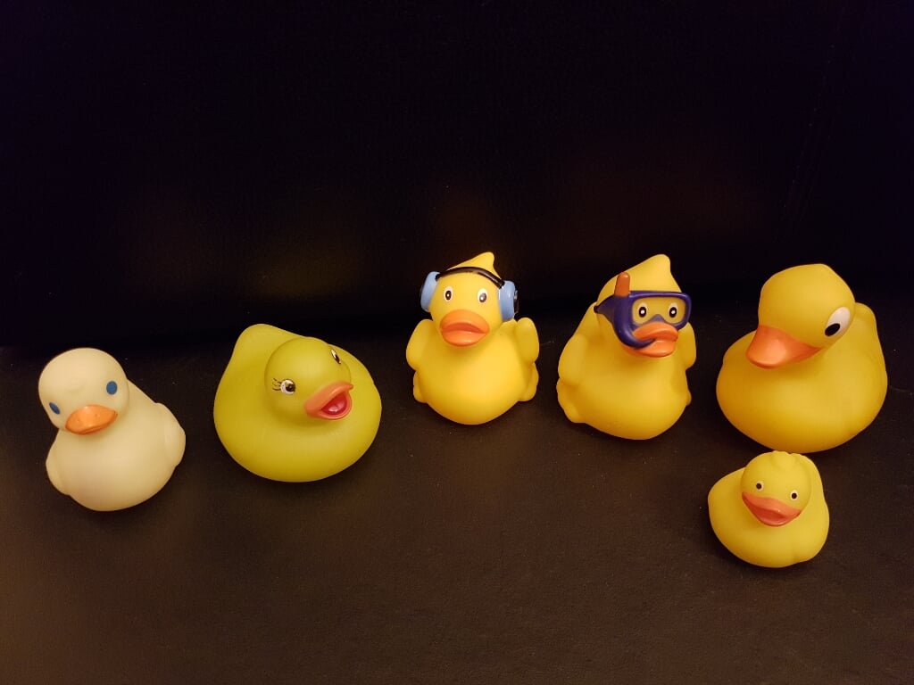 6 (bad)eendjes