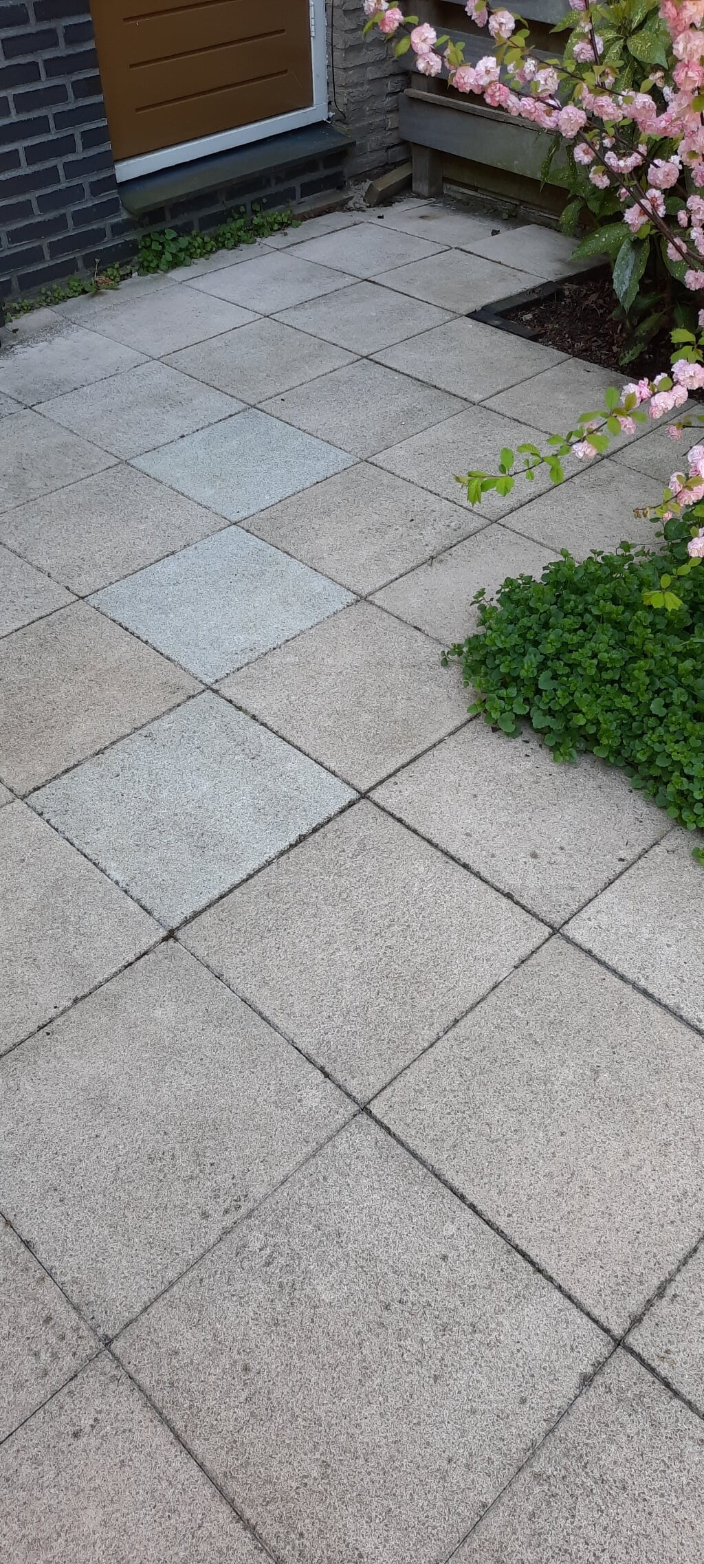 GRATIS TUINTEGELS VAN 40 X 40 CM, GOED VOOR 50M2 PIJNACKER
