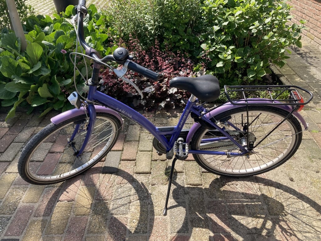 Leuke Batavus kinderfiets