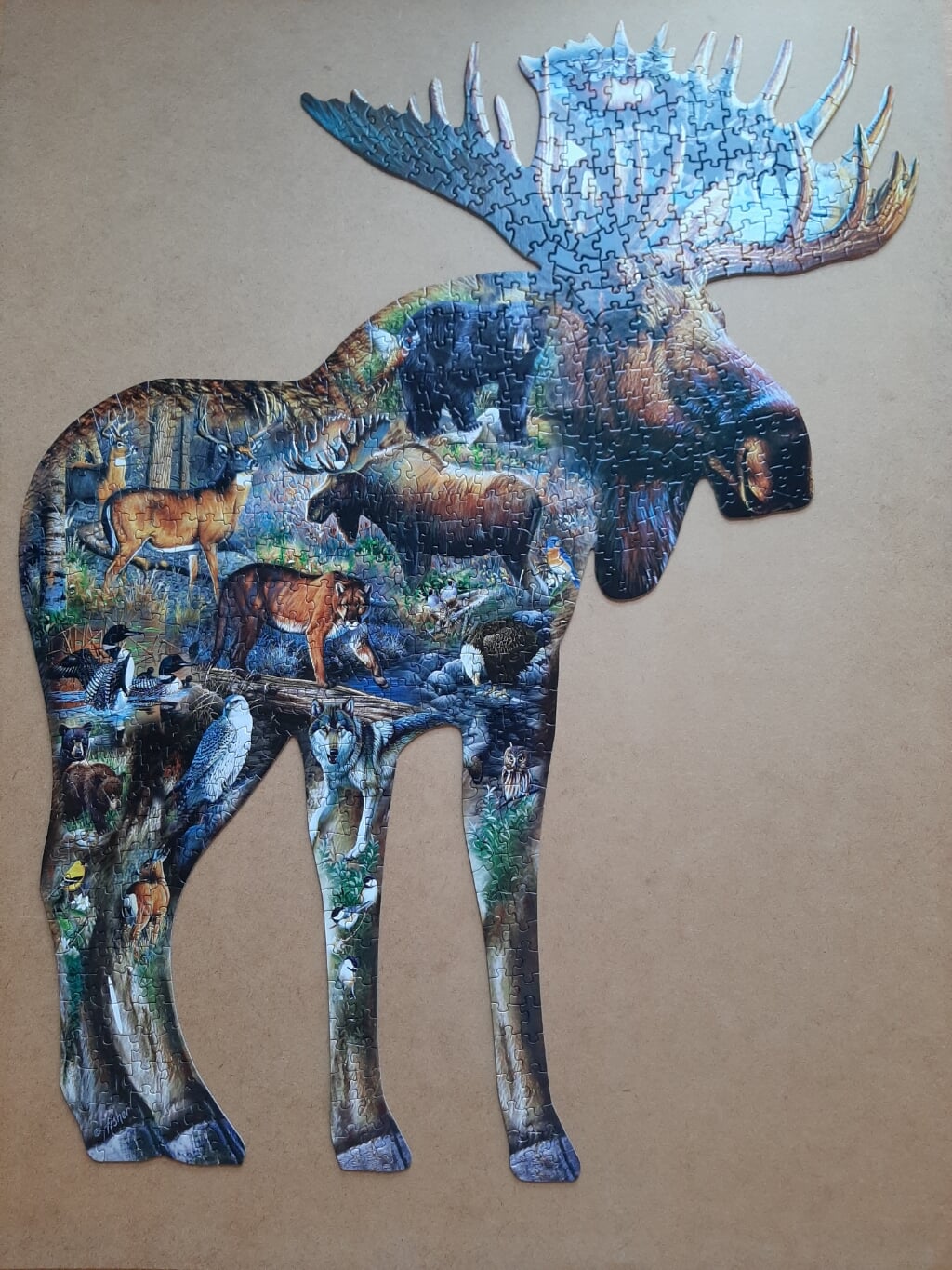 puzzel sunsout walk on the wild side