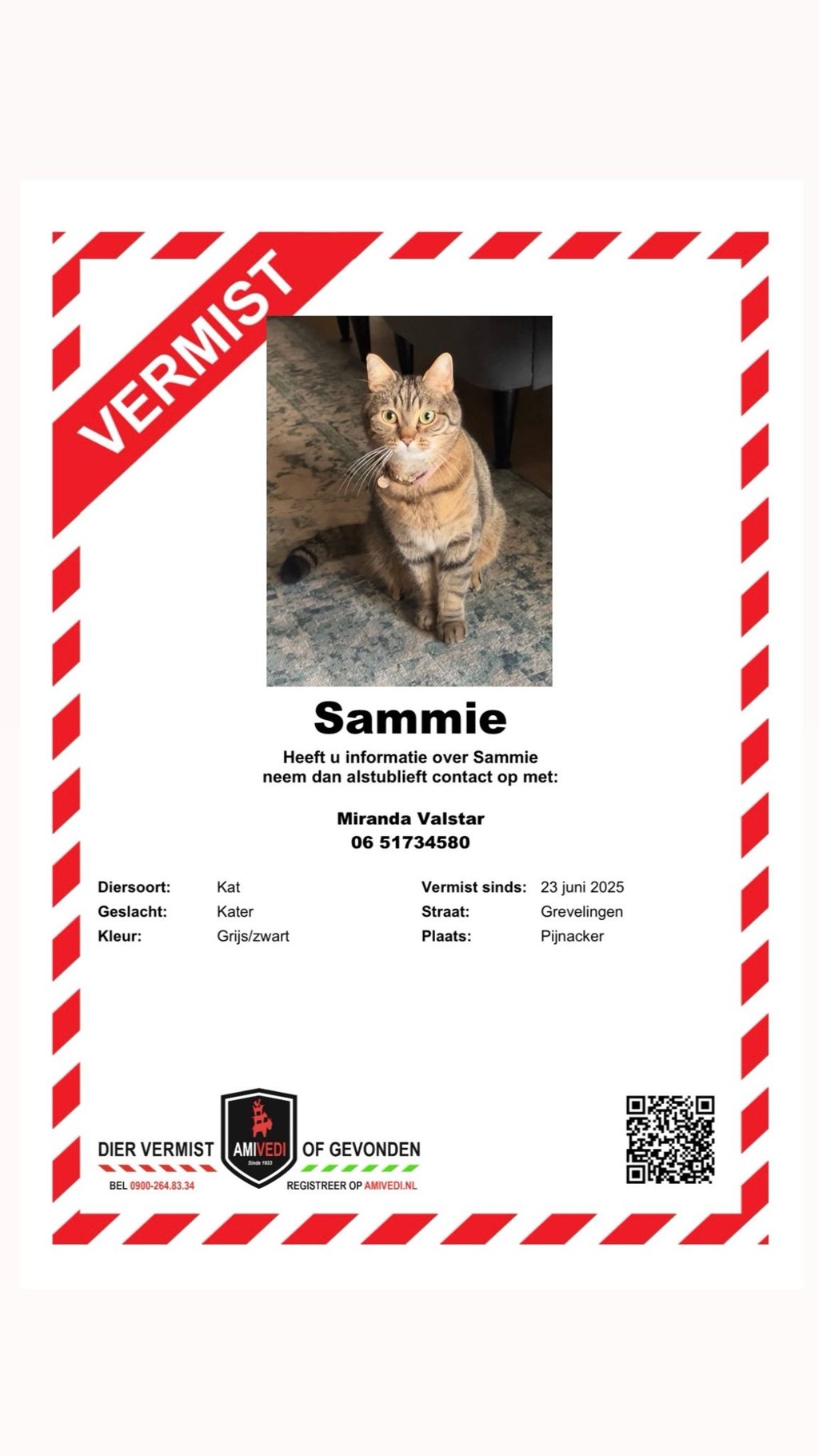 Kat Sammie vermist