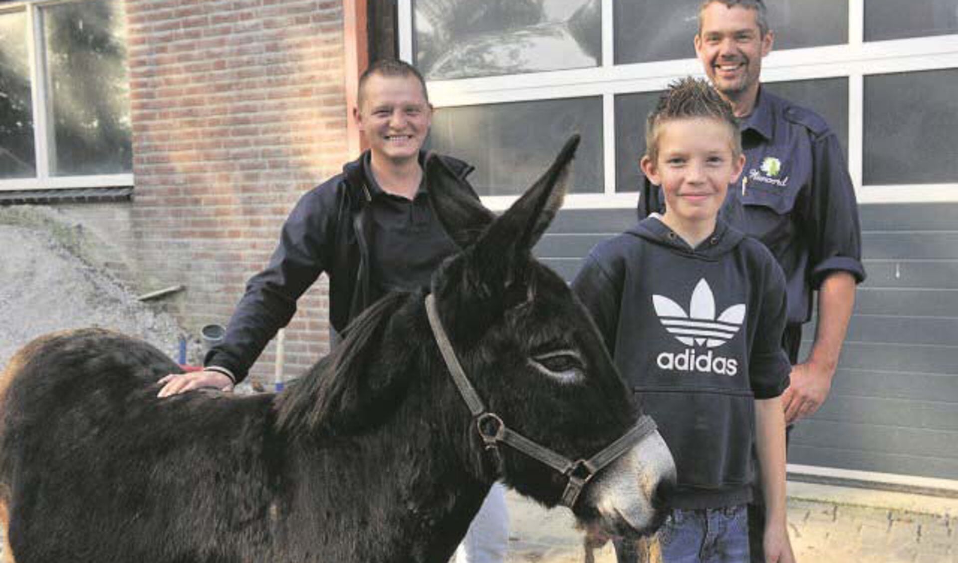 Afbeelding