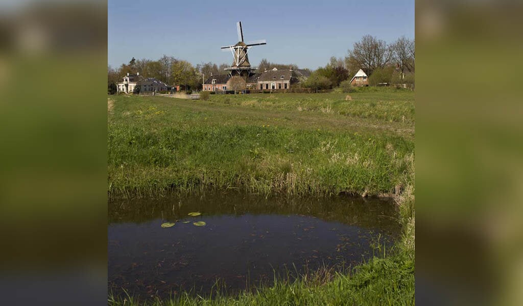 Nederland - Roderwolde - Drenthe - 21-04-2016

Molen Woldzigt, Hoofdstraat 58 te Roderwolde
.


foto: Sake Elzinga
