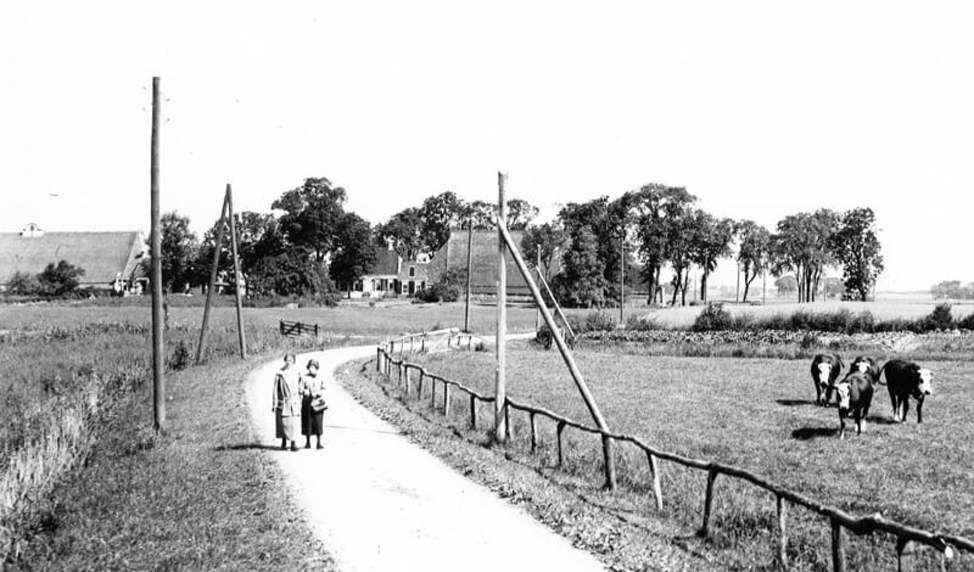 Afbeelding