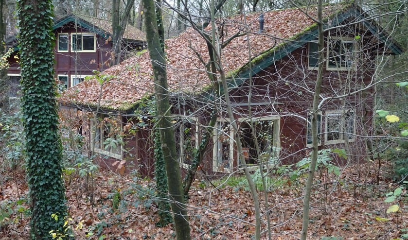 <p>Een archieffoto van recreatiepark het Roekenbosch. </p>