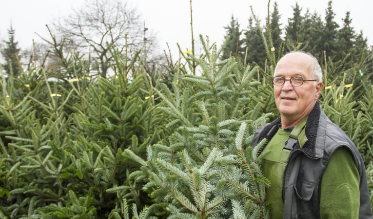Al veertig jaar verkoopt Hay Jeuken kerstbomen in Venray. Foto: Henk Lammen. 
