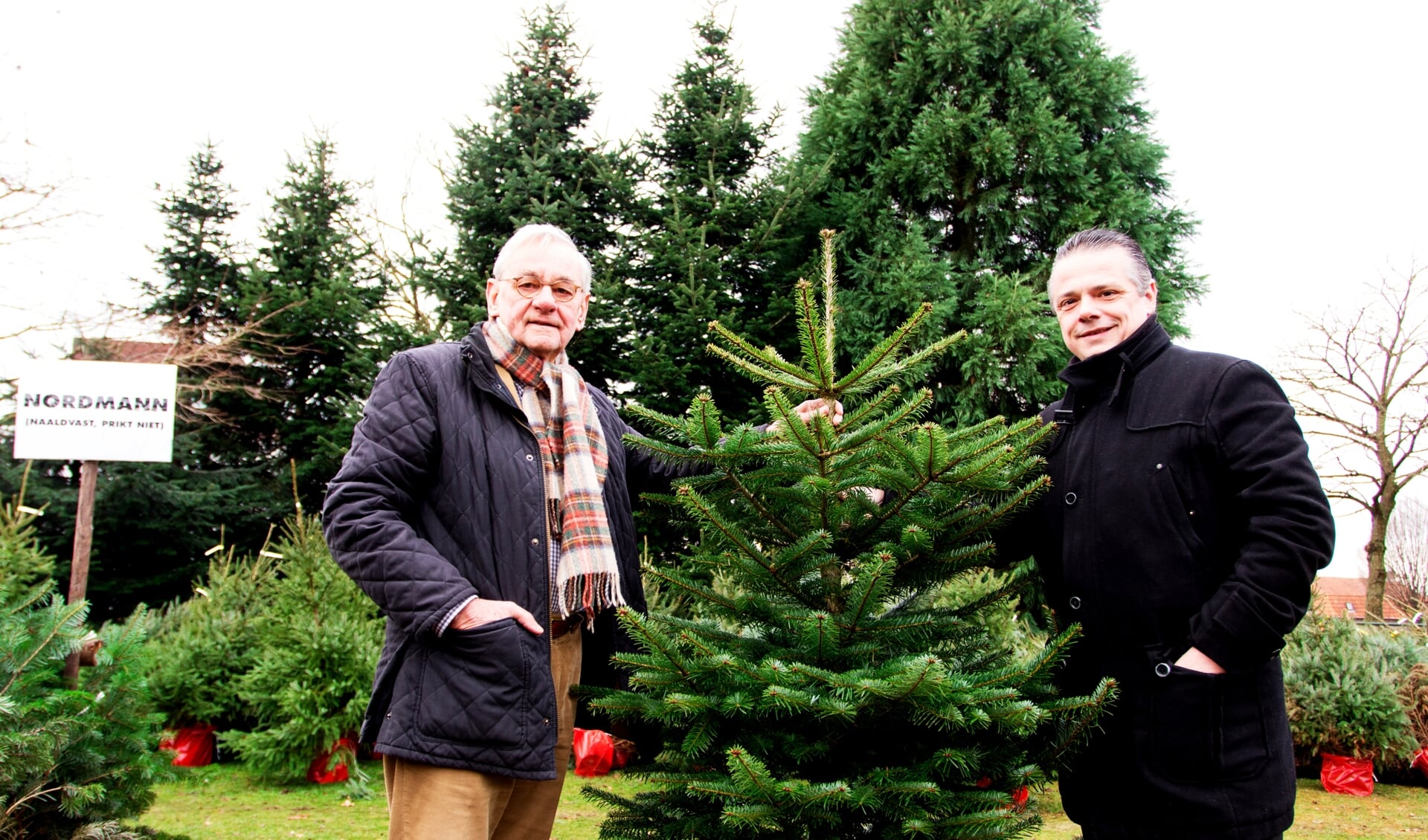 Hans Thomassen (links) en Bernie van Lierop waren de afgelopen dagen op zoek naar een kerstboom van circa 8 meter. Foto: Henk Lammen. 