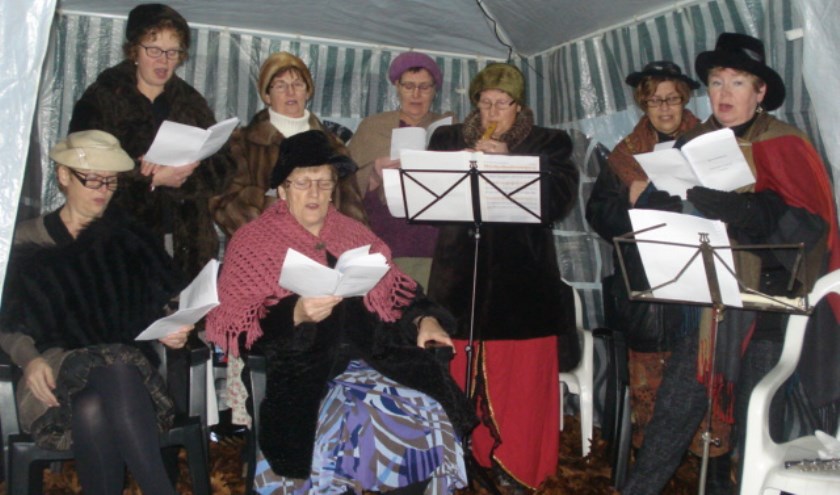 Een muzikaal intermezzo tijdens de kerstlichtjeswandeling in Vredepeel.