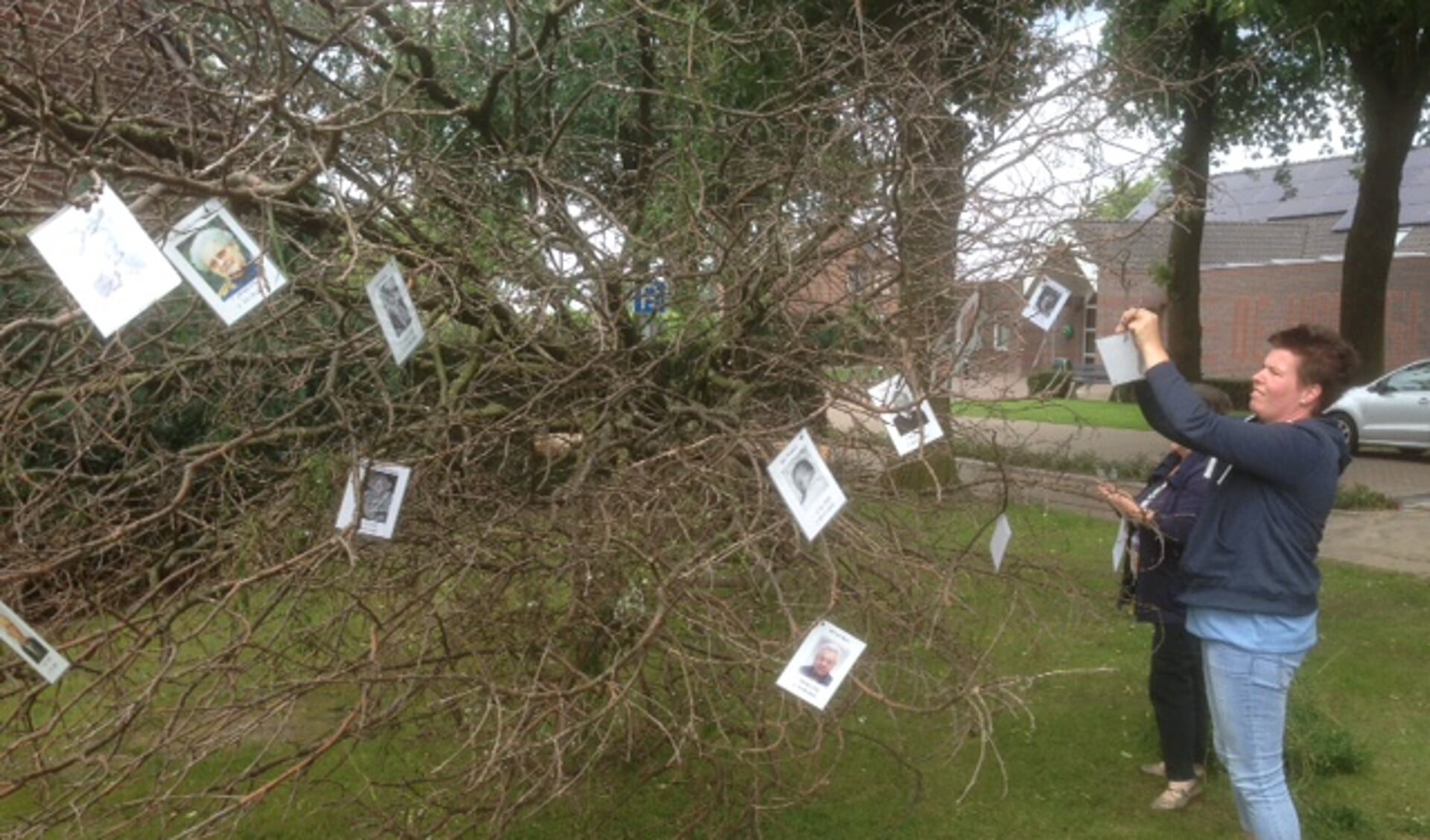 De bidprentjes worden in de herinneringsboom in hartje Veulen gehangen. Foto: Ron Koenen.
