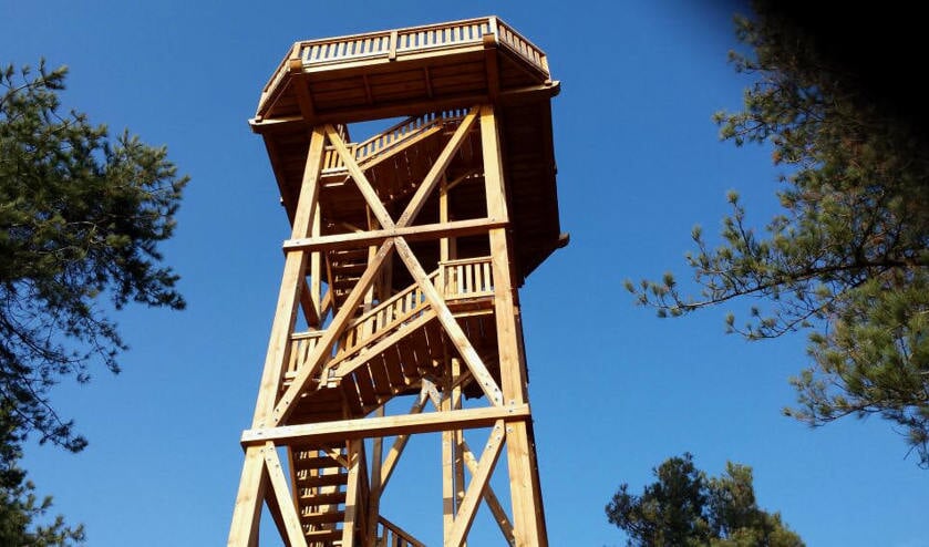 Jeugd-IVN brengt ook een bezoek aan de uitkijktoren in de Paardekop.
