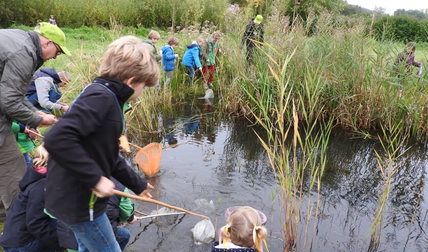 Actief met water tijdens een van de activiteiten van IVN Geijsteren-Venray.