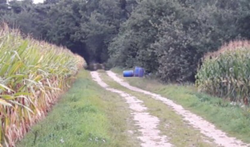 Foto: Audica Video.