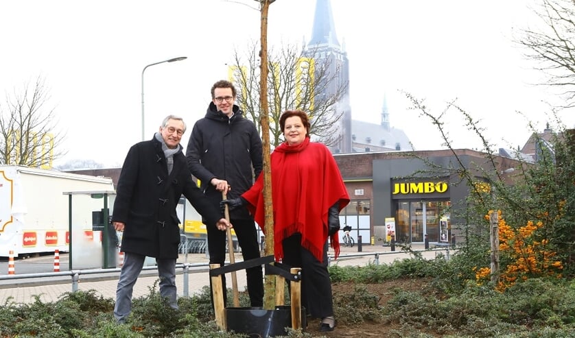 Aanplant van de honingboom bij Deken Thielenstraat 16 in Venray door Mart Wismans, voorzitter imkersvereniging regio Venray, wethouder Martijn van der Putten en Rabobank-directievoorzitter Angelique Jansen. Foto: Marcel Aerts.