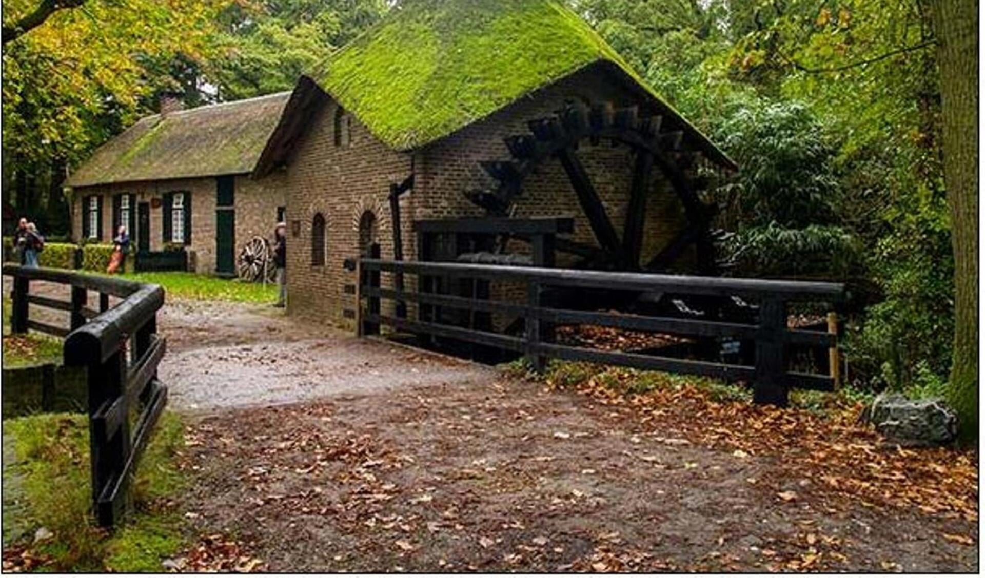 De Rosmolen is een van de bekendste plekken op Landgoed Geijsteren. Foto: IVN