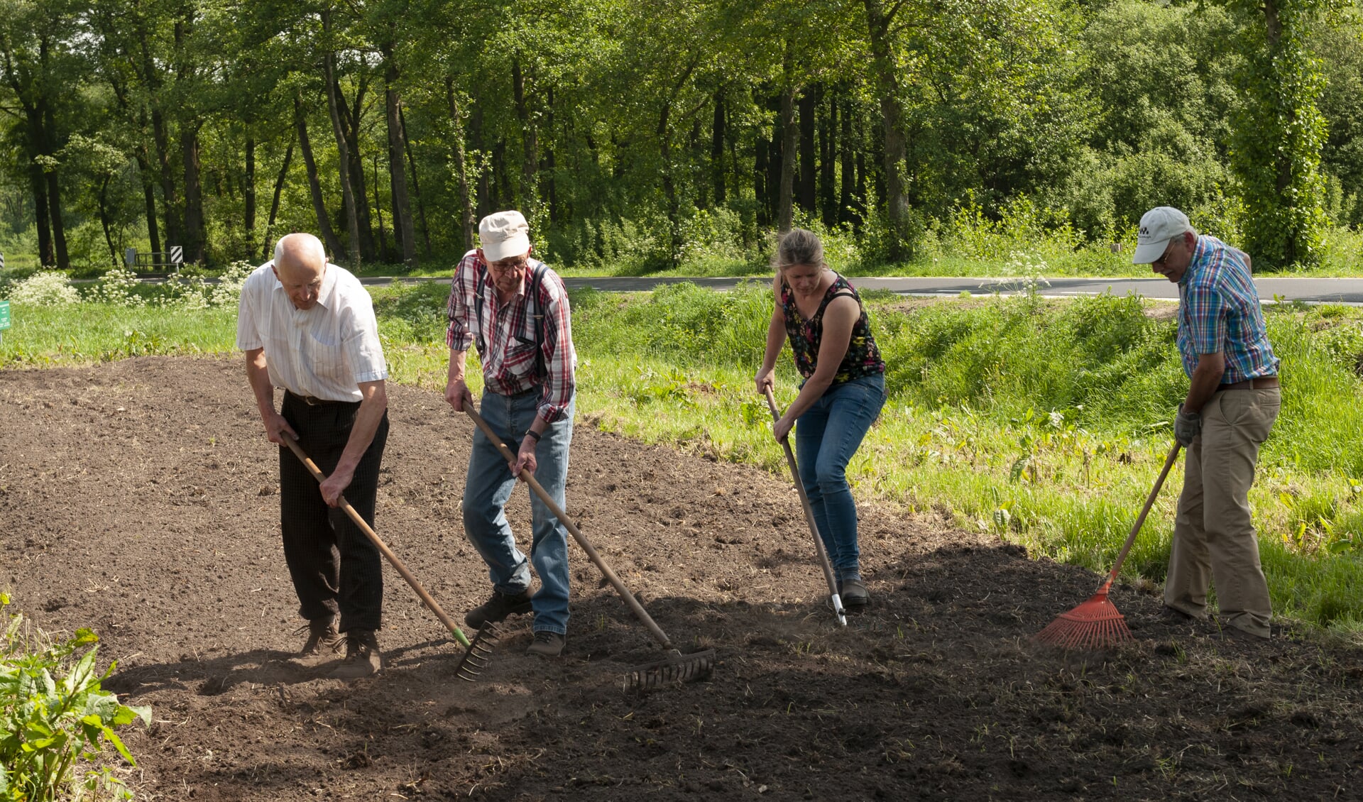 Het bijenbloemenzaad wordt ingezaaid bij de boerenschans. 