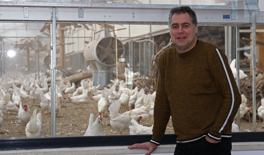 Ruud Zanders in zijn kippenstal in Oirlo die al vele prijzen in de wacht sleepte. Foto: Rikus ten Brucke