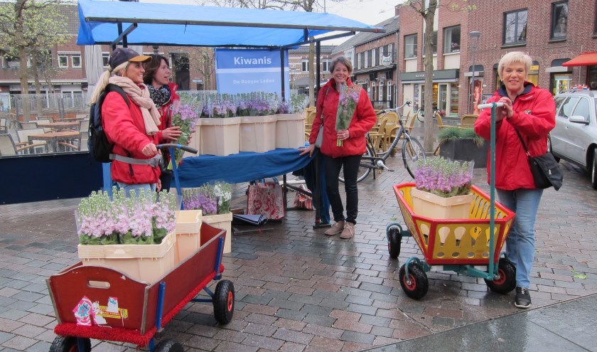 Violierenverkoop de Rooyse Ladies voor het goede doel.