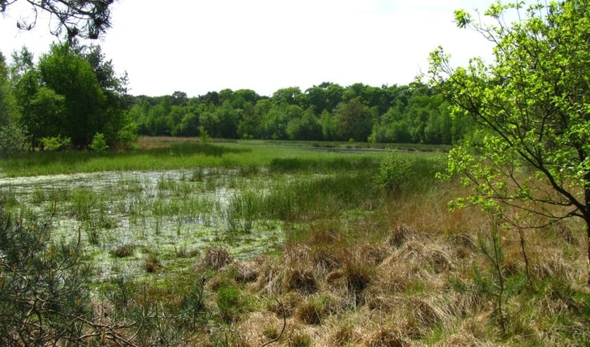 De Rouwkuilen in Ysselsteyn.