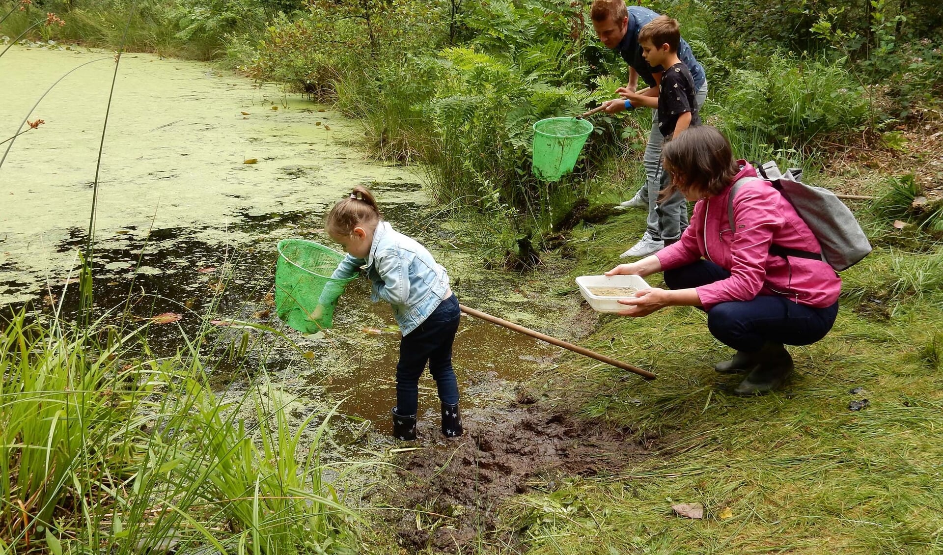 Waterdieren scheppen kan op IVN-slootjesdag. 