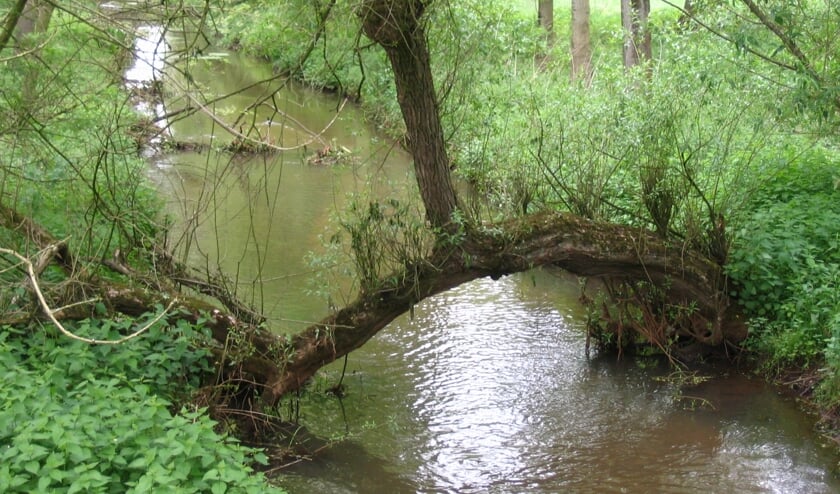 Familiespeurtocht IVN op 22 september door de natuur van Geijsteren.