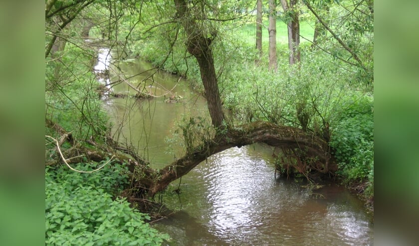 <p>Natuurfoto Geijsteren. </p>
