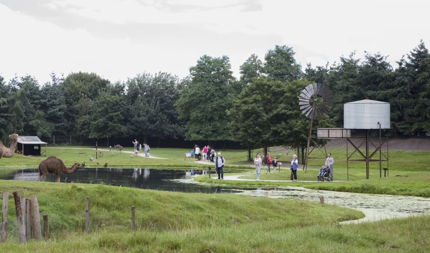 Bij ZooParc Overloon is sprake van een heuse geboortegolf.
