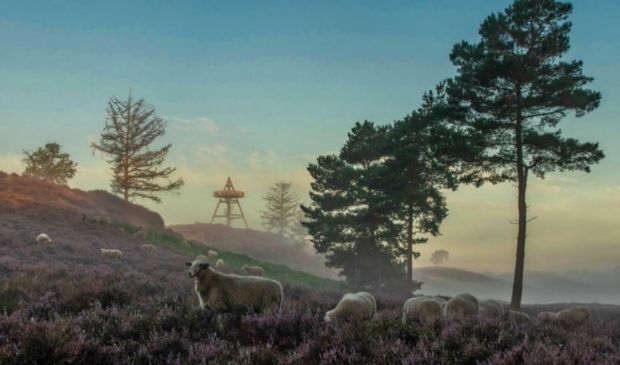 Uitkijktoren Afferden