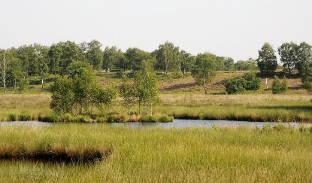 Voorlopig geen activiteiten in De Maasduinen