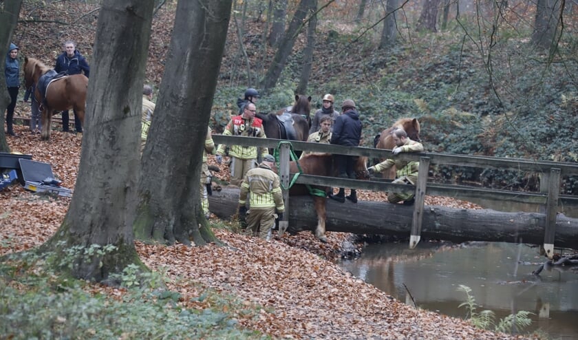 <p>Pony glijdt uit: muurvast op bruggetje. </p>