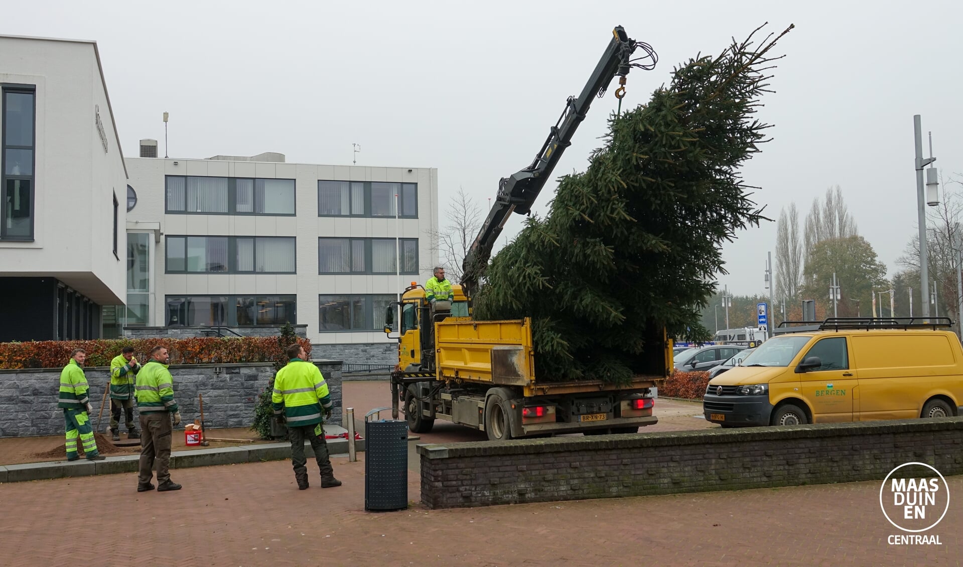 Kerstboom Bergen 2020