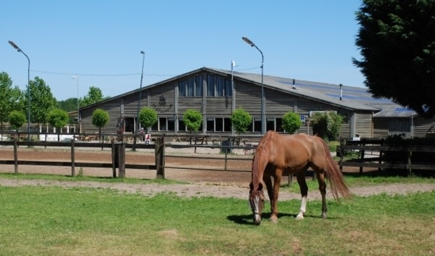 <p>Ruitersportcentrum Seurenheide gaat huren van de gemeente</p>