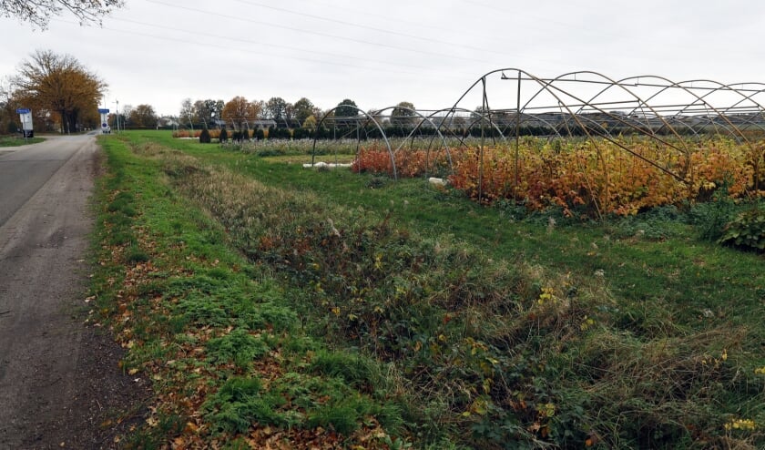 <p>De plannen voor industrieterrein De Spurkt in Venray gaan in de ijskast.</p>