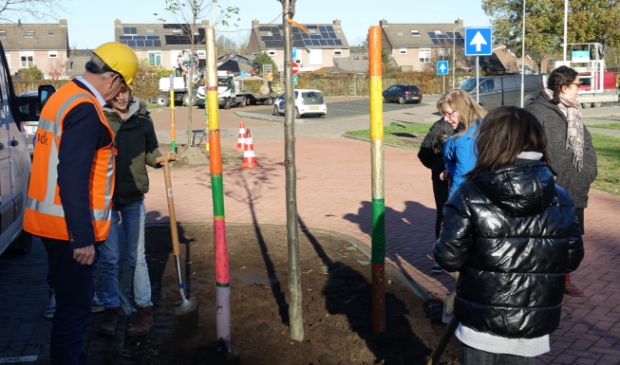 Boomfeestdag 2020